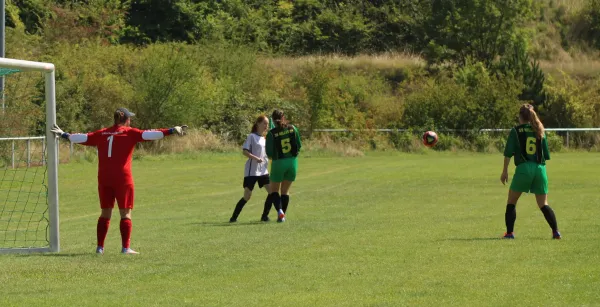 10.08.2025 SG Döllnitz vs. SV Hellas 09