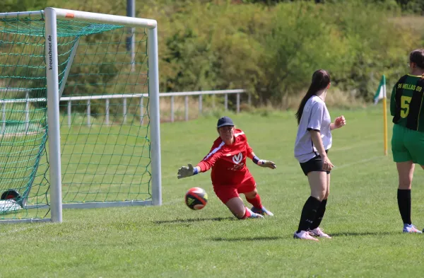 10.08.2025 SG Döllnitz vs. SV Hellas 09