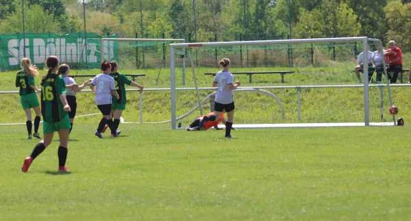 10.08.2025 SG Döllnitz vs. SV Hellas 09