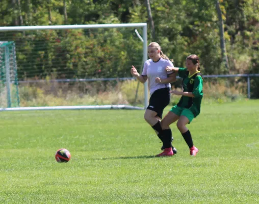 10.08.2025 SG Döllnitz vs. SV Hellas 09