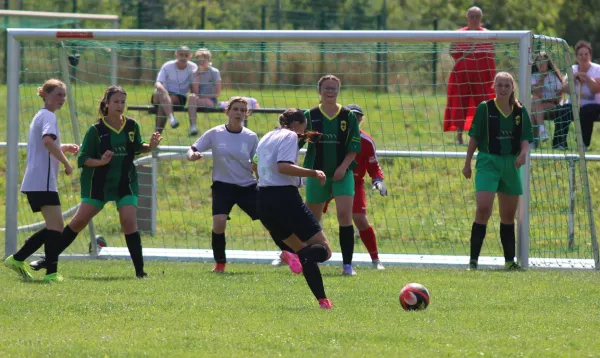 10.08.2025 SG Döllnitz vs. SV Hellas 09
