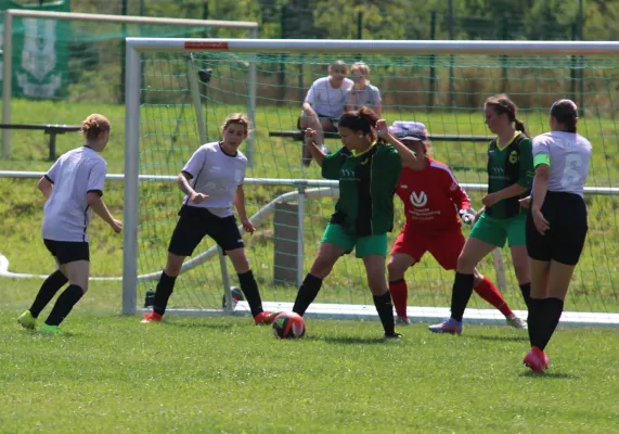 10.08.2025 SG Döllnitz vs. SV Hellas 09