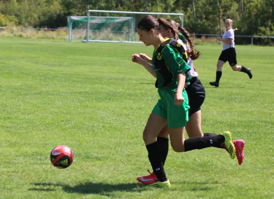 10.08.2025 SG Döllnitz vs. SV Hellas 09