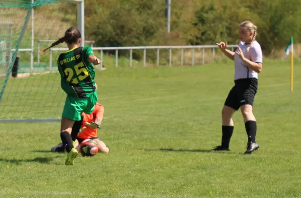 10.08.2025 SG Döllnitz vs. SV Hellas 09