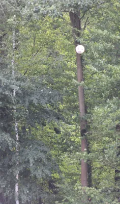 21.09.2025 SV Hellas 09 vs. FC Eintracht Köthen