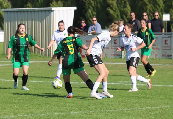 28.09.2025 Grün Weiß Wörlitz vs. SV Hellas 09
