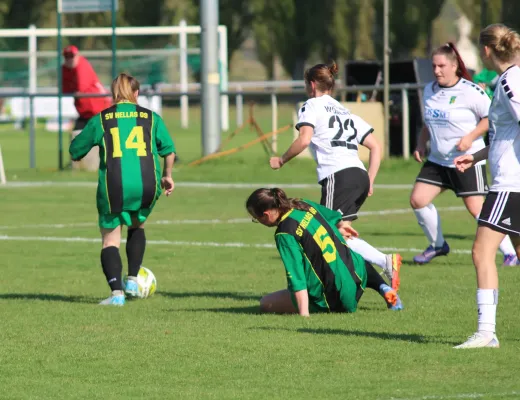 28.09.2025 Grün Weiß Wörlitz vs. SV Hellas 09