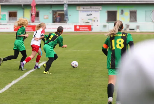 04.10.2025 SV Hellas 09 vs. FSV Bad Schmiedeberg