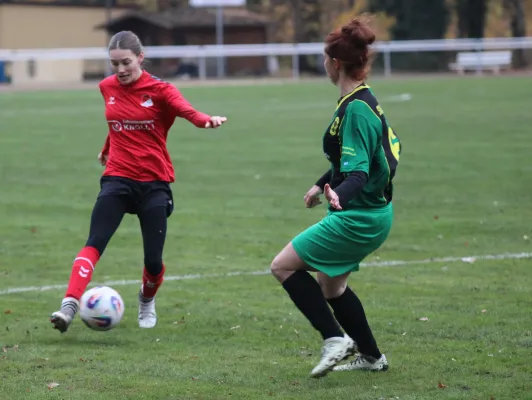 08.11.2025 SV Hellas 09 vs. SG Abus Dessau