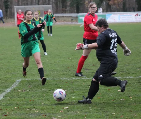 08.11.2025 SV Hellas 09 vs. SG Abus Dessau