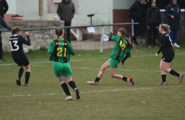 29.03.2026 Glöthe/​ Warthe Hakeborn vs. SV Hellas 09