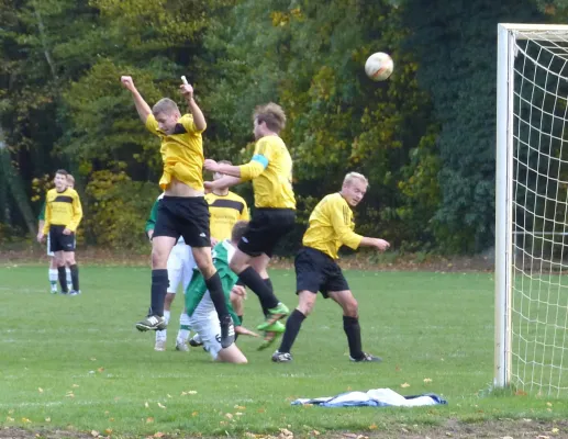 29.10.2016 SV Hellas 09 vs. Pretzsch