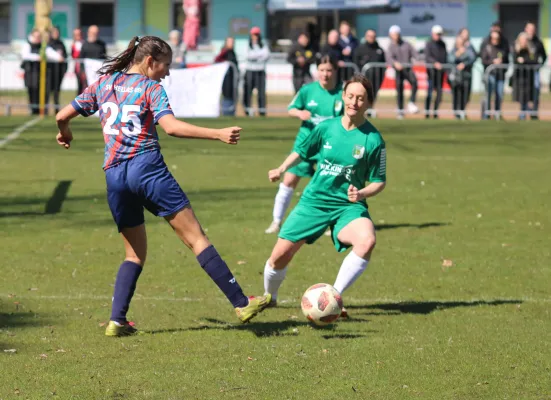 11.04.2026 SV Hellas 09 vs. Grün Weiß Wörlitz