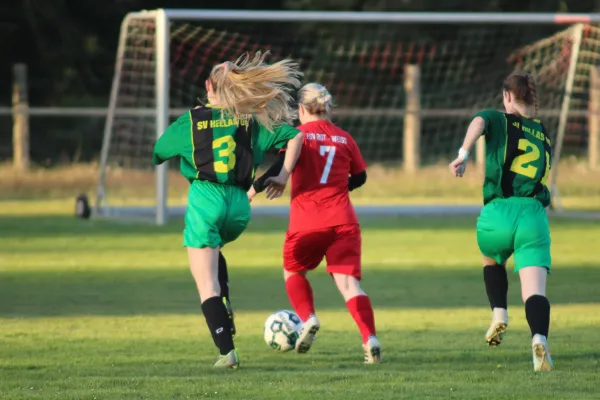 19.04.2026 FSV Bad Schmiedeberg vs. SV Hellas 09