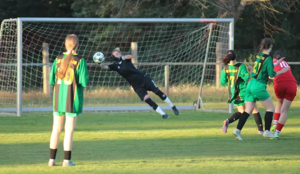 19.04.2026 FSV Bad Schmiedeberg vs. SV Hellas 09
