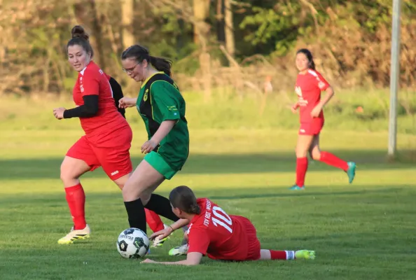 19.04.2026 FSV Bad Schmiedeberg vs. SV Hellas 09