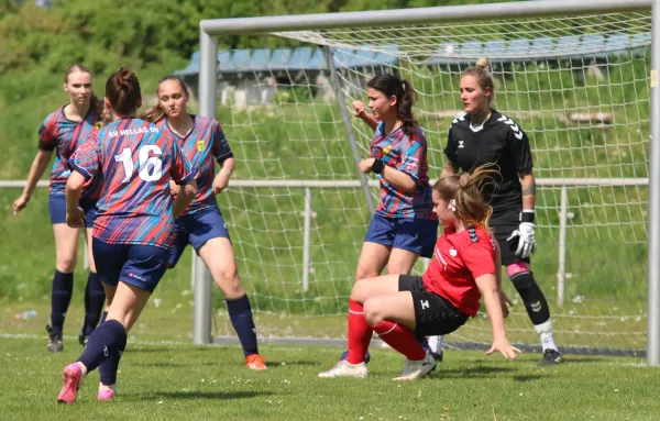 03.05.2026 SG Abus Dessau vs. SV Hellas 09