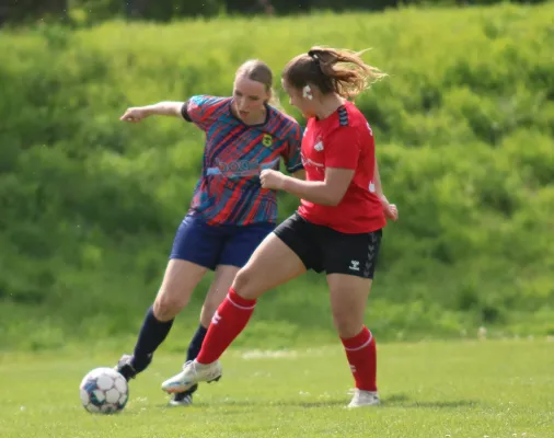 03.05.2026 SG Abus Dessau vs. SV Hellas 09