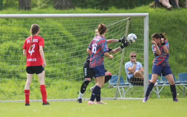 03.05.2026 SG Abus Dessau vs. SV Hellas 09