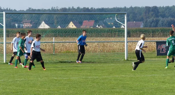 11.09.2016 SV Grün Weiß Linda vs. JSG Heidekicker