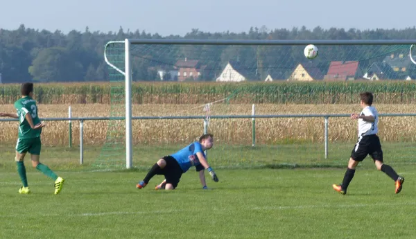 11.09.2016 SV Grün Weiß Linda vs. JSG Heidekicker