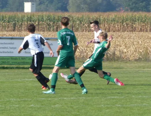 11.09.2016 SV Grün Weiß Linda vs. JSG Heidekicker